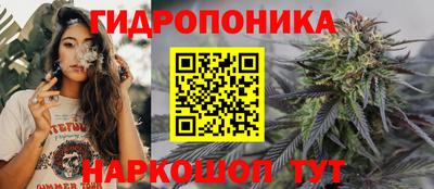 а пвп мука Кингисепп