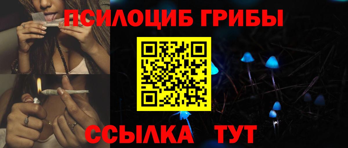 Псилоцибиновые грибы MAGIC MUSHROOMS Коммунар